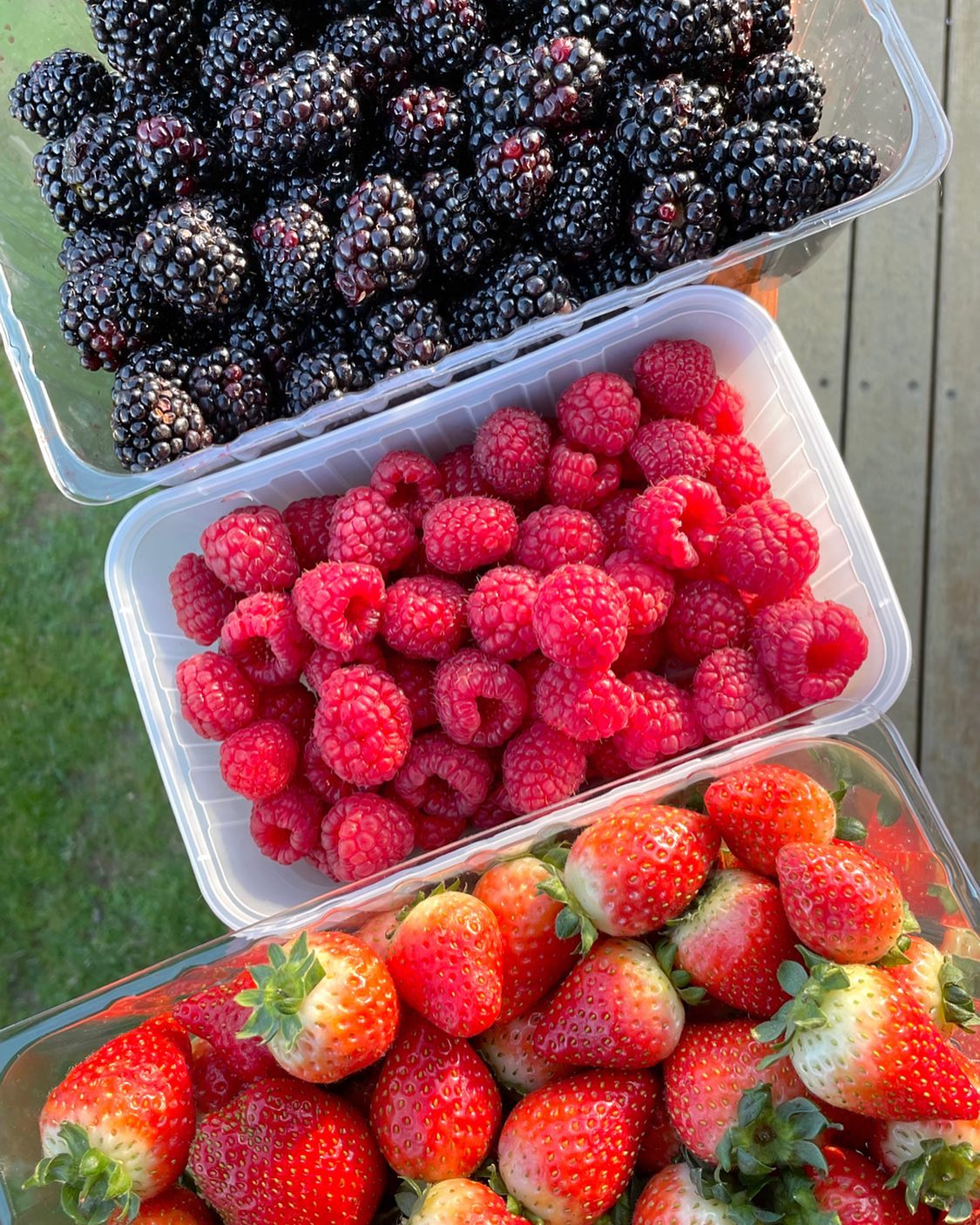 Fresh berries are always a yes! 🤩

Our delicious blackberries, strawberries and raspberries are still going! 🍓🙌🏼 

Be sure to grab yourself a punnet or two (or ten! ) before our season comes to a close ✨🍂 

#christmashillsraspberryfarm #christmashillsraspberryfarmcafe #raspberryfarm #raspberryfarmcafe #raspberries #tasmania